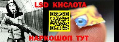 гидра Кандалакша