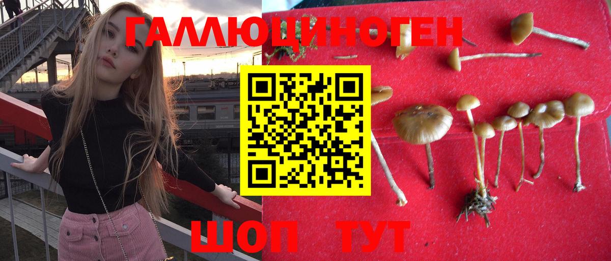 Галлюциногенные грибы мухоморы  Вход с VPN  Юрга 